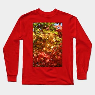 Colourful leaves of a maple tree in autumn Long Sleeve T-Shirt